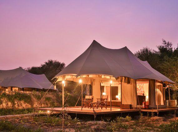 Sawai Shivir Ranthambore — Rajasthan • India