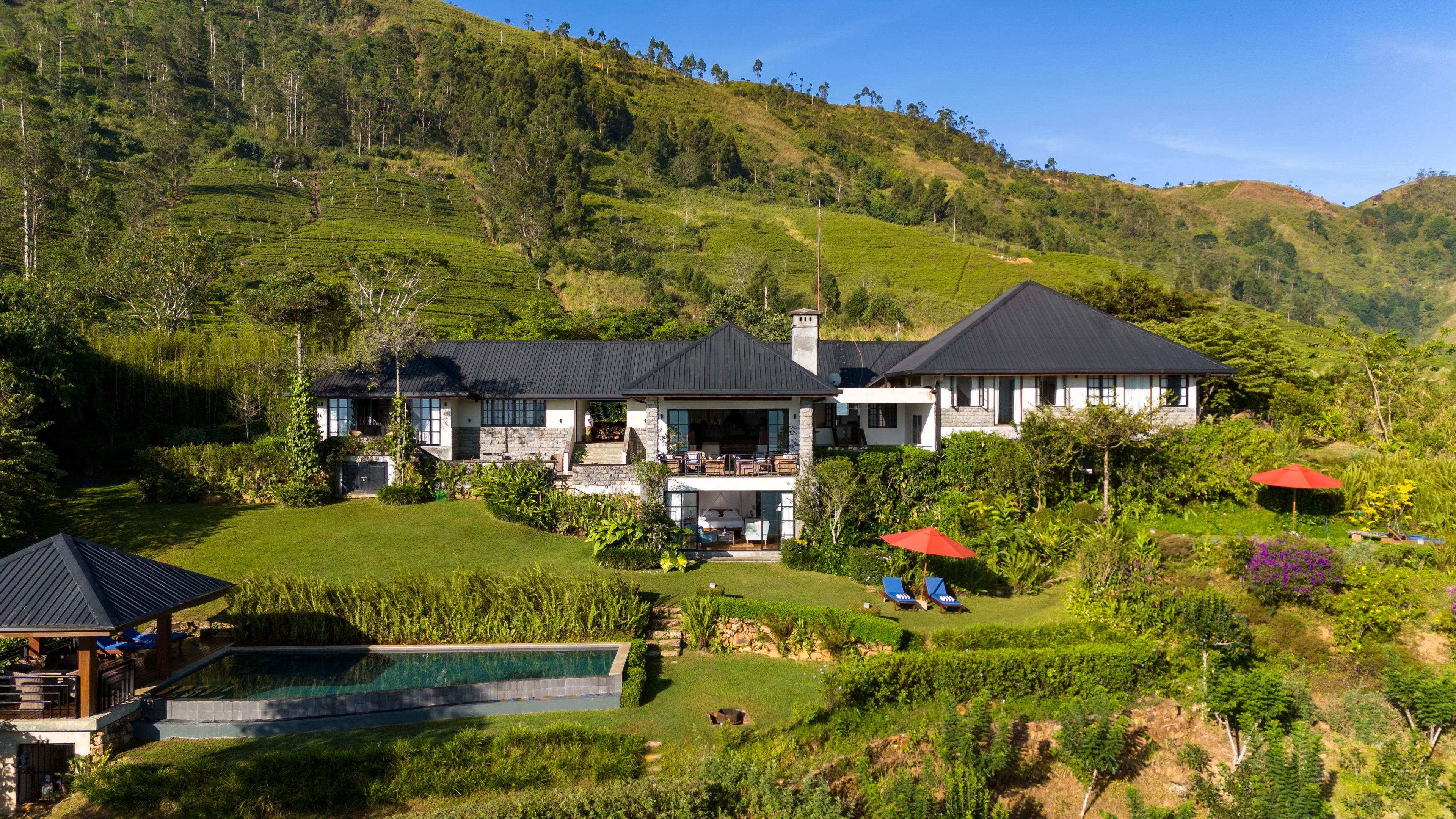 Camellia Hills — Dickoya • Sri Lanka