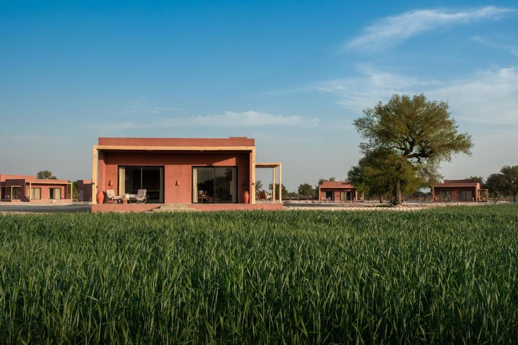 Mharo Khet — Rajasthan • India