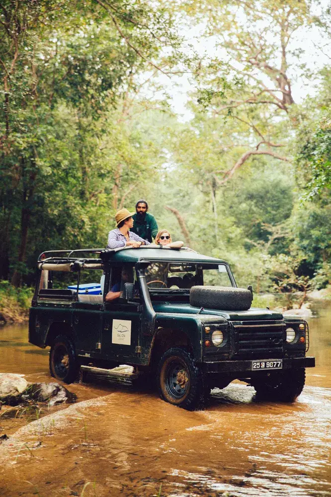 Travellers on a safari vehicle in the forest