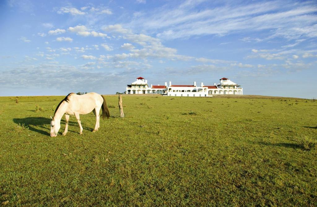 Uncover the Coastal Spirit of Uruguay with Estancia Vik