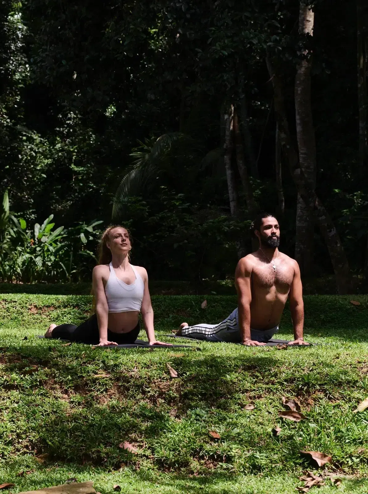 Wildlife and Wellness - Journey to the Heart